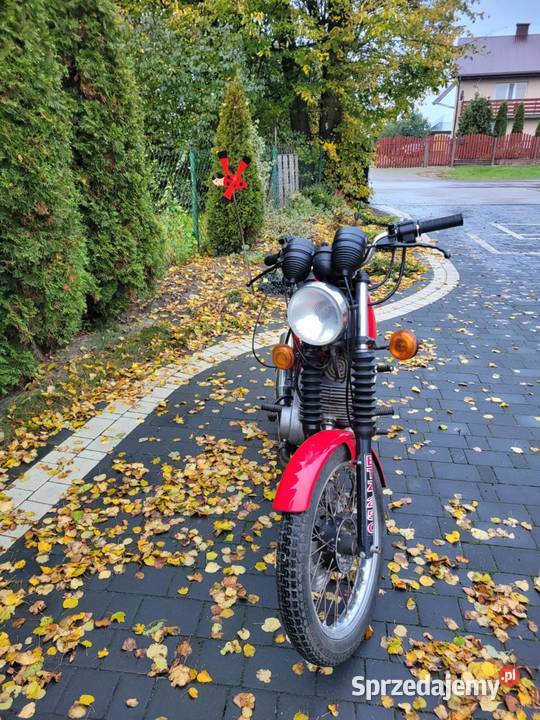 Mz Etz 250 z dokumentami