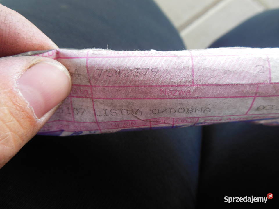 LISTWA DACHOWA LEWA FIAT UNO TURBO R89 KOD sprzedam
