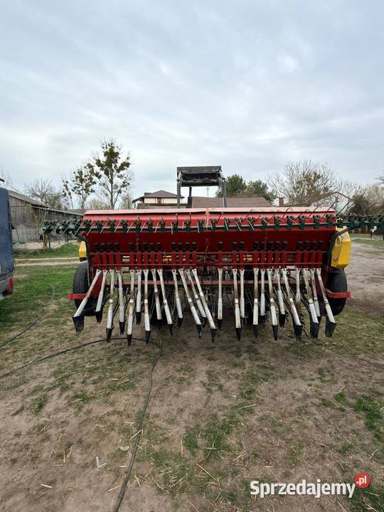 Siewnik nieuszkodzony mazowieckie