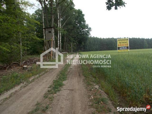 sprzedaży gruntu 41960m2 Grunty i działki sprzedam