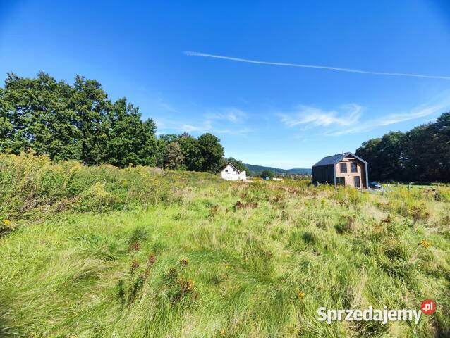 sprzedaży ziemi Wojcieszyce 1350m2