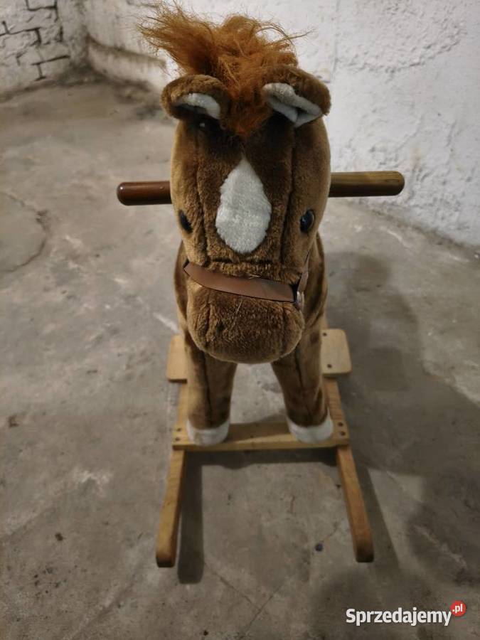 Koń na biegunach śląskie Tychy