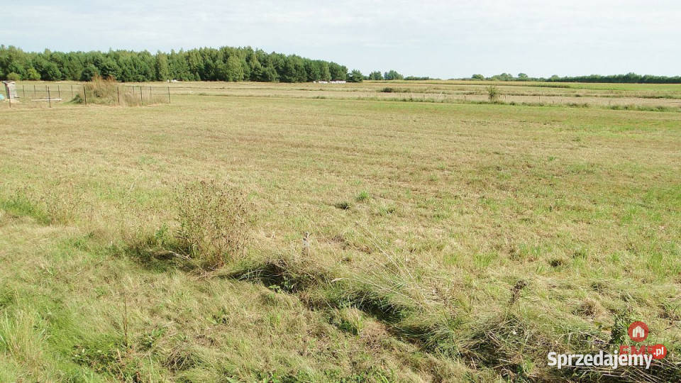 sprzedaży gruntu 1500m2 Hołówki Duże podlaskie