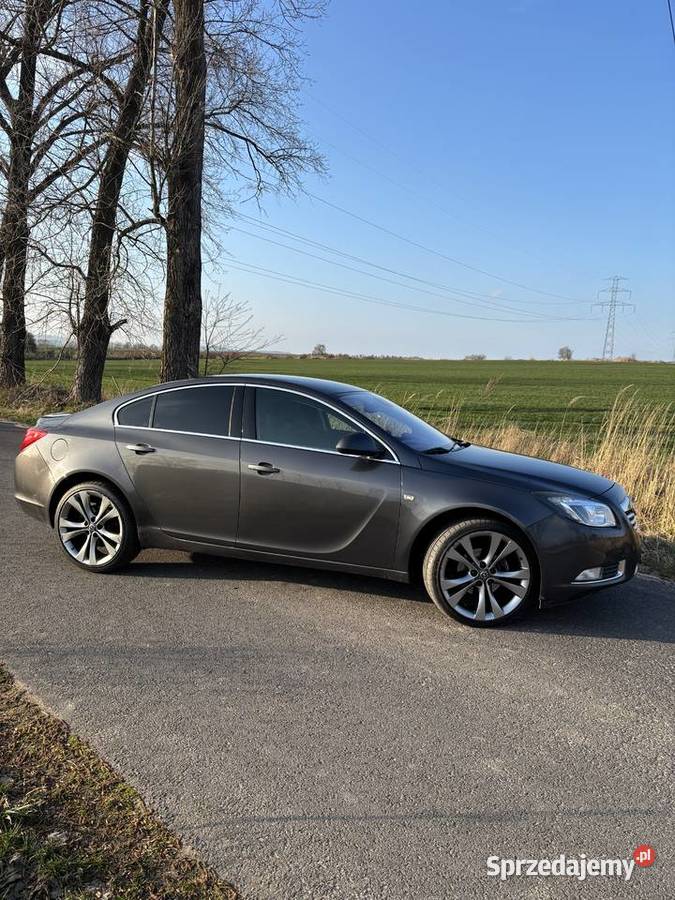 Opel Insignia 1968cm3 Bogatynia sprzedam