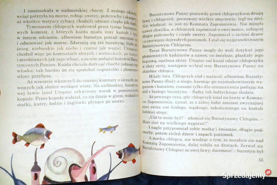 Opowieści z Bajkolandii Zbigniew Żakiewicz