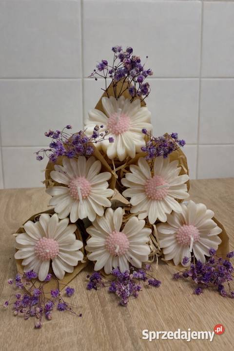 Podziękowania gości Opatów sprzedam