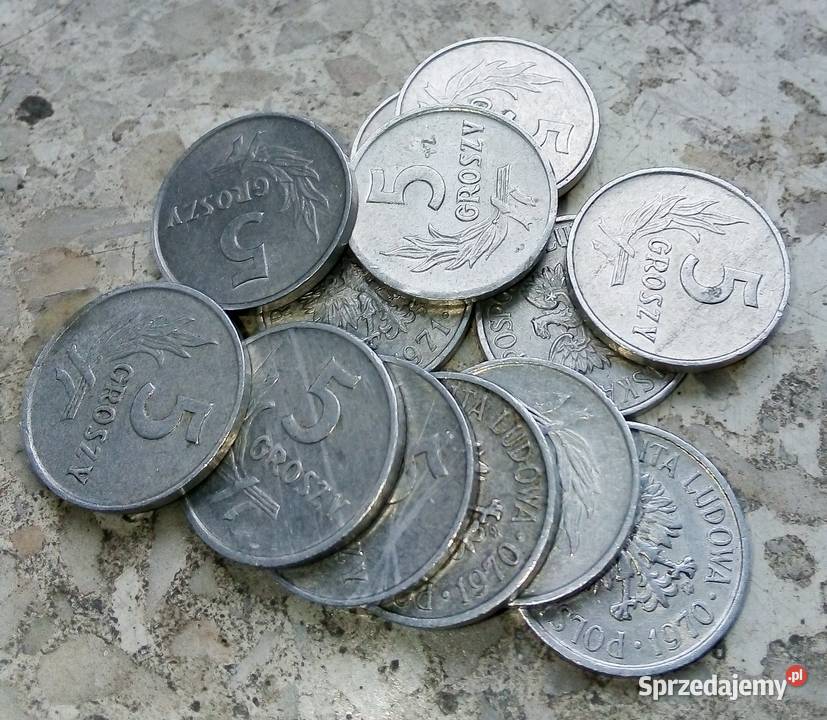 POLSKA 5 GROSZY 15 SZTUKAL Legionowo sprzedam