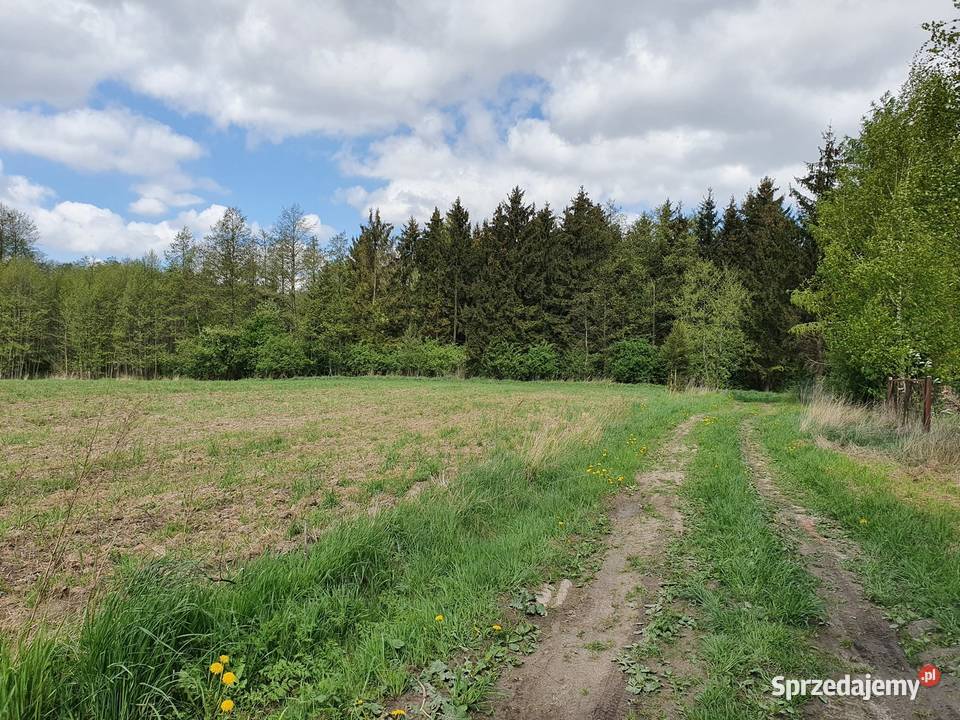 Działka jeziorem Harsz