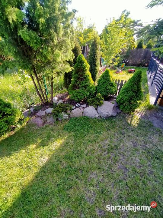 Działka ROD Łódź górna Grunty i działki