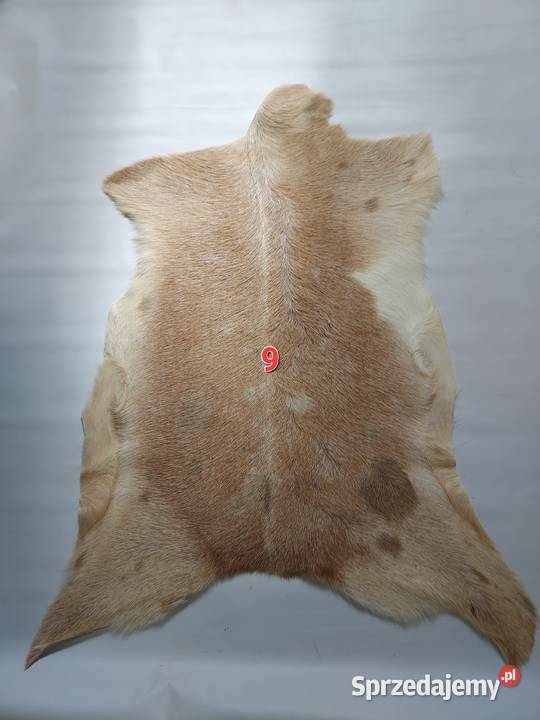 Skóra z Kozy XXL Dekoracyjna Naturalna Skóry