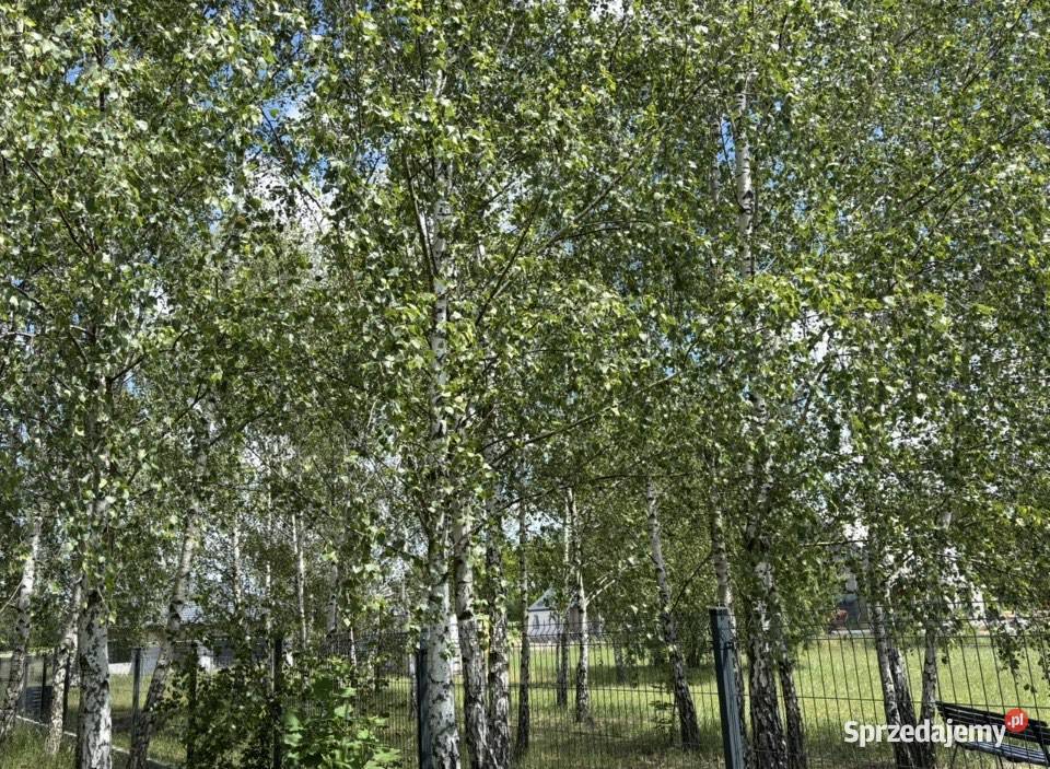 Dzialka budowlana n osiedlu willowym pod Henrysin