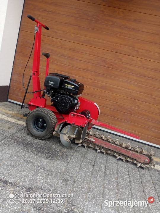 Koparka łańcuchowa cedrus Polany