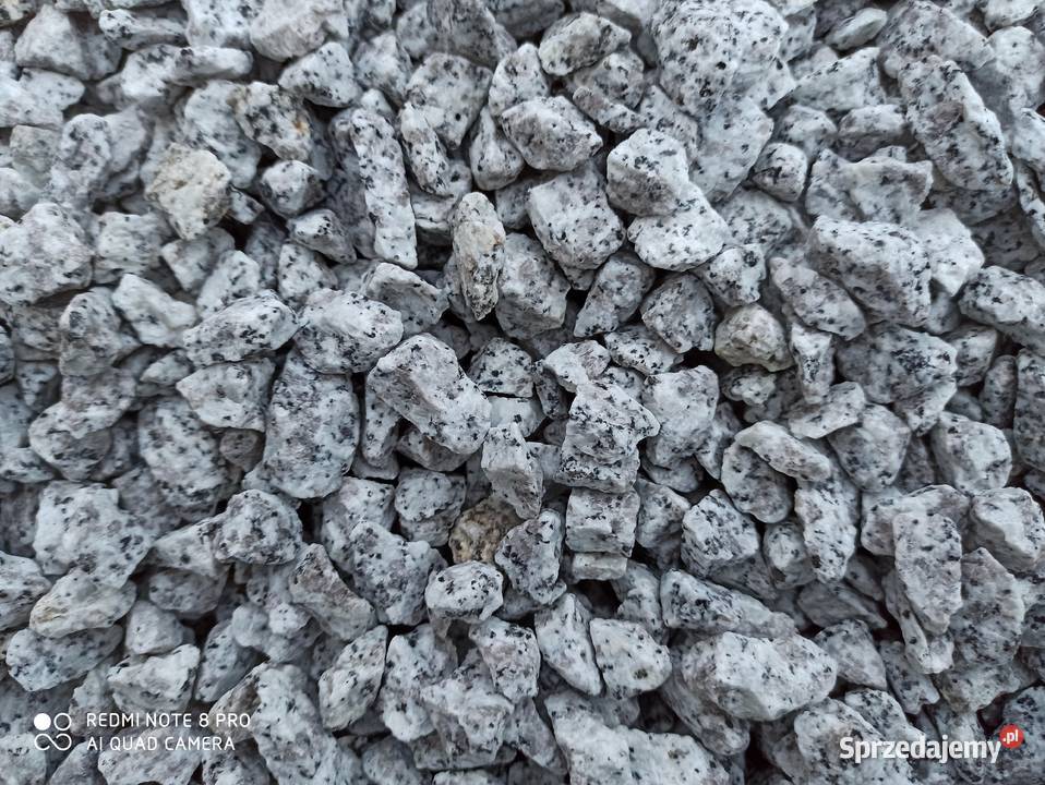 Grys Granitowy Dalmatyńczyk szary w kropki Biała Łódź