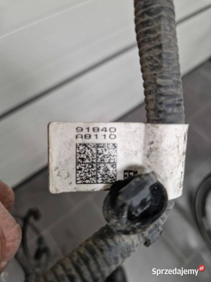 Wiązka instalacją Kia Optima IV 91840A8110 Złocieniec