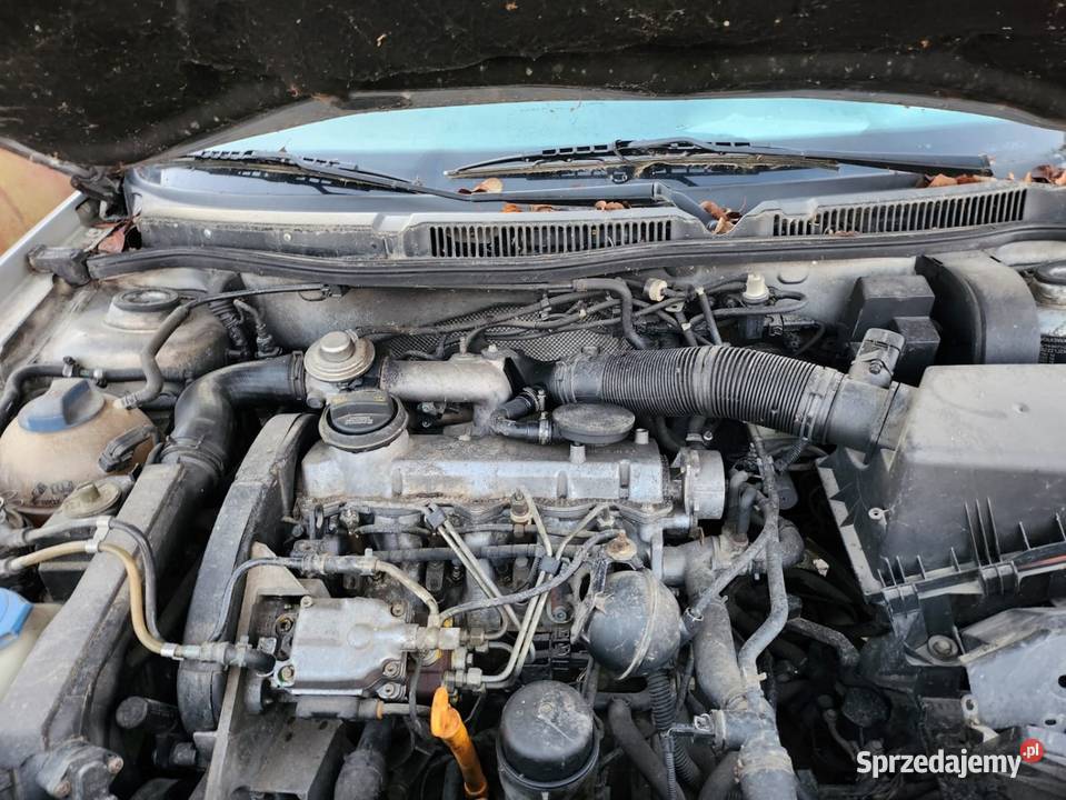 Golf 4 19 tdi alh na części części osobowe Bychawa