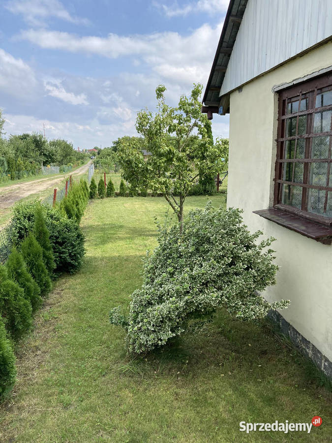 Sprzedam działkę ogrodową rekreacyjna Wałcz