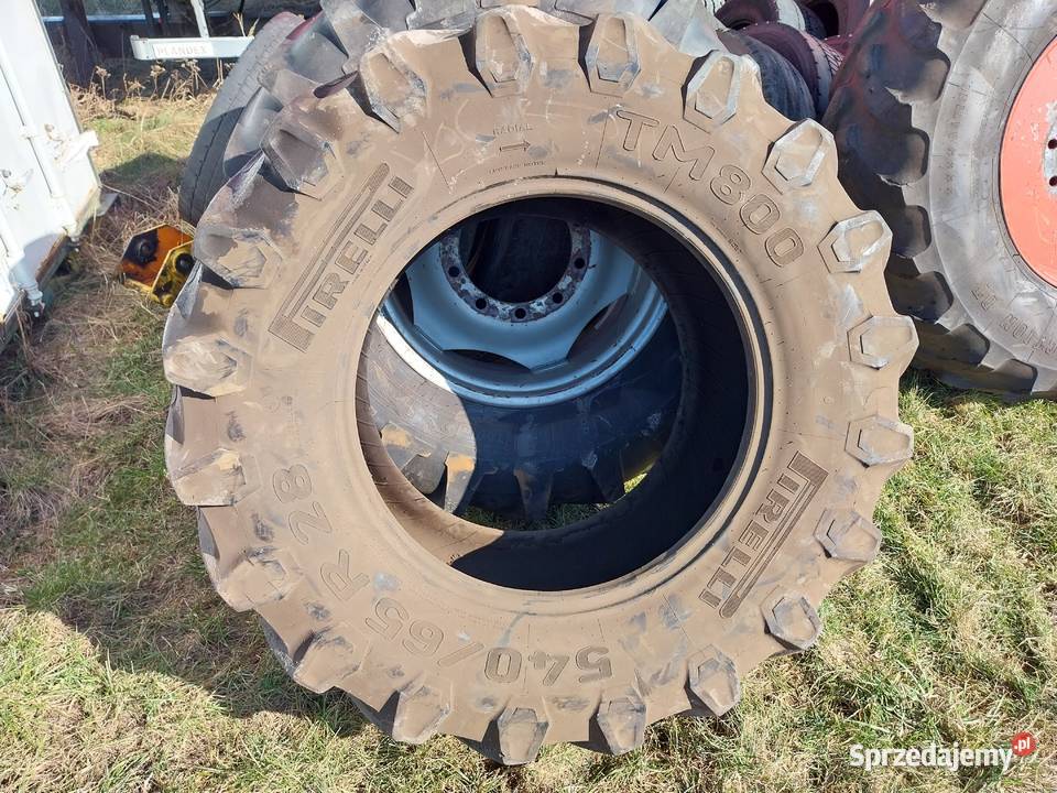 opona Pirelli TM800 54065R28 Borek sprzedam