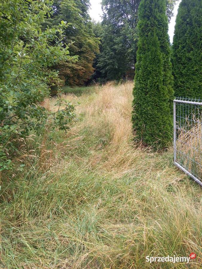 Koszenie trawy nieużytków ugorów zarośli Pielęgnacja ogrodów i trawników Trojanów