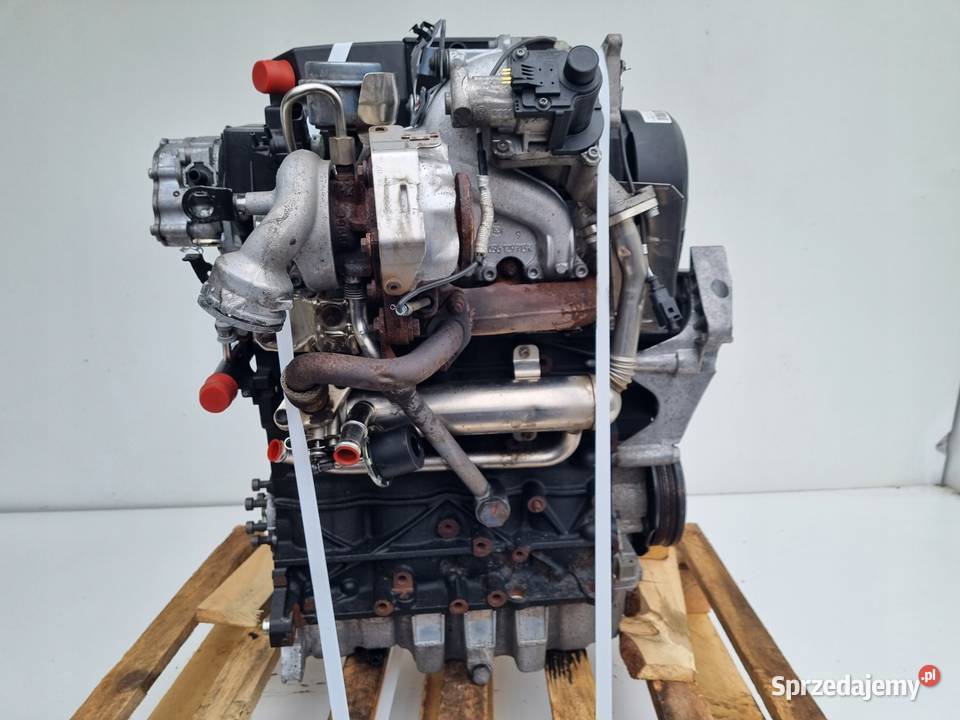 SILNIK KOMPLET Audi A3 II 8P 19 TDI 105 160 BLS Silniki i osprzęt Rudka sprzedam