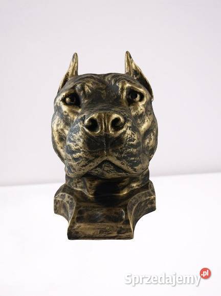 Figura Dekoracja Pies Głowa Amstaff Opole
