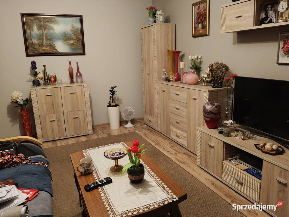 Meble do salonu Tychy