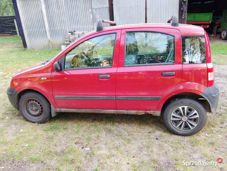 Fiat panda Trzyciąż
