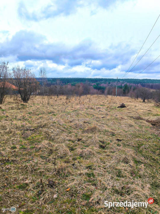 sprzedaży działki Mniów 5000 metrów Sprzedaż Sprzedaż
