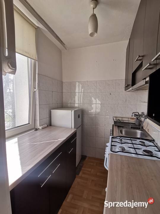 do wynajęcia kawalerka na saskiej kępie 27 m2 Warszawa