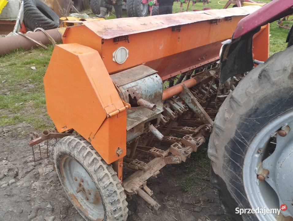 Siewnik Poznaniak łódzkie Wola Pomianowa
