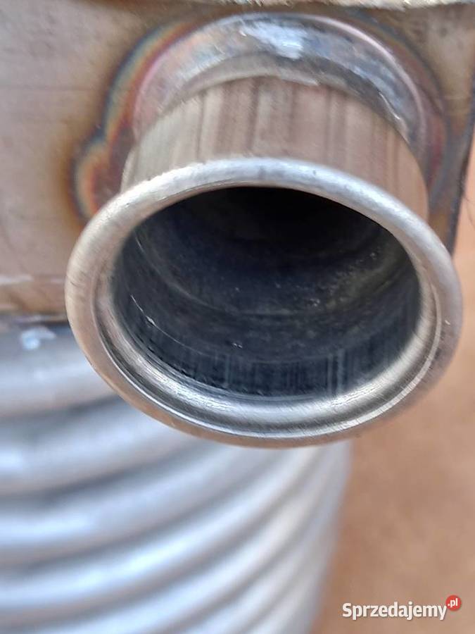 Wężownica nierdzewna Jarosław