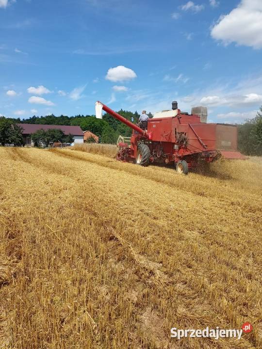 Kombajn zbożowy International 431 sprzedam