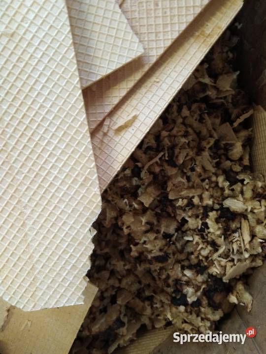 Odpady spożywcze Malbork