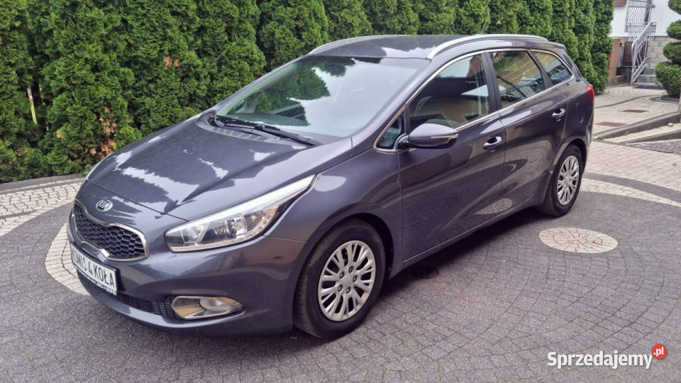 Kia Ceed Navi Kamera Cofania Led 135 GWARANCJA ASR (kontrola trakcji) Płońsk