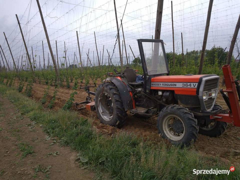 Massey Ferguson 364 v sadowniczy sadownik do Wilków sprzedam