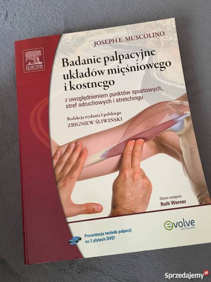 Tanio Badanie palpacyjne J Muscolino Książki naukowe i popularnonaukowe kujawsko-pomorskie sprzedam