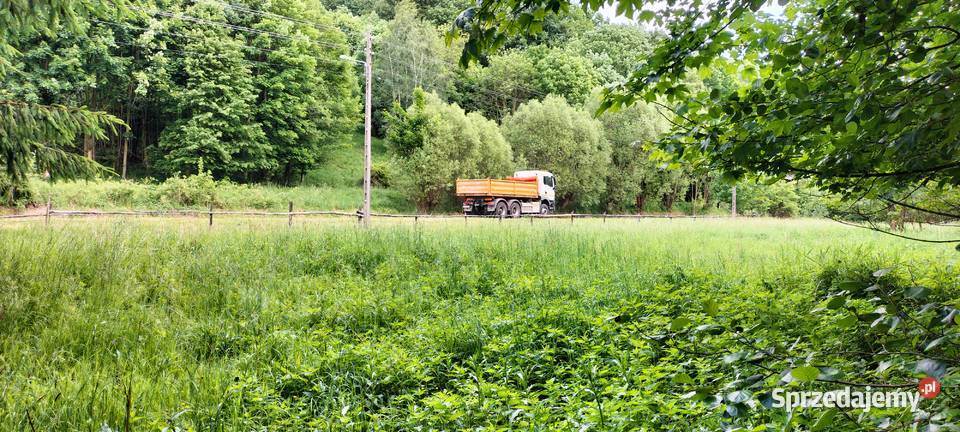 Działka Zagórze Śląskie 10 arów Sprzedaż Dzierżoniów sprzedam