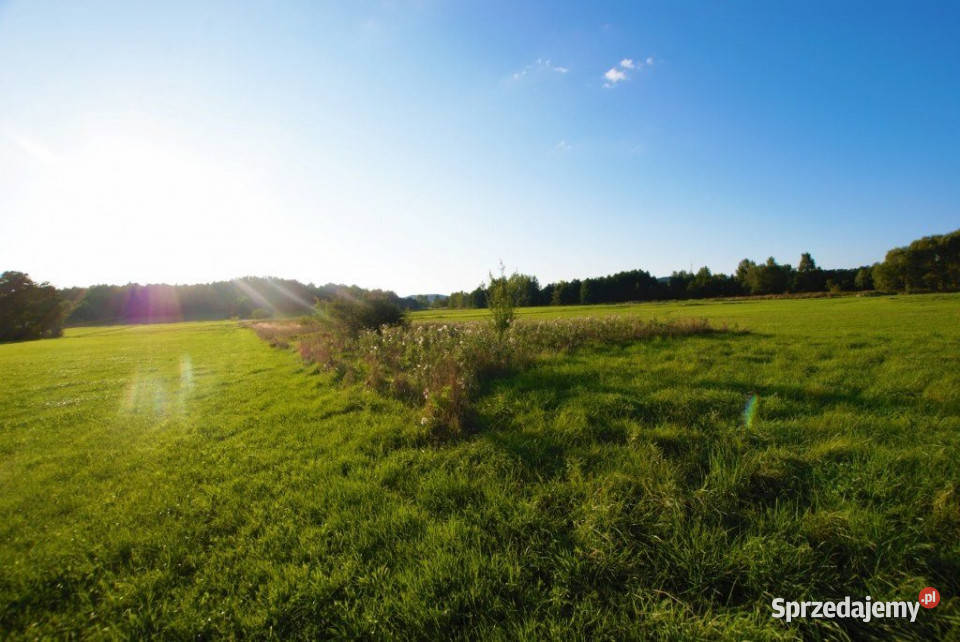 Działka Kielce 7129m2 7129m2 świętokrzyskie sprzedam