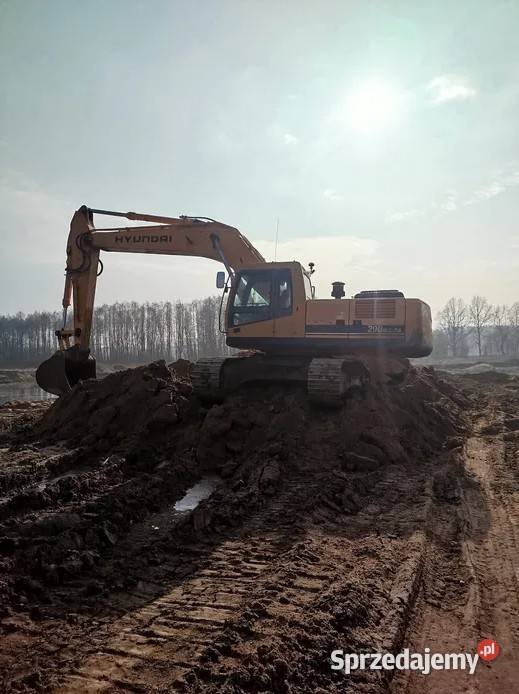 Hyundai 290 NLC7A Rok produkcji 2007 Kochlice