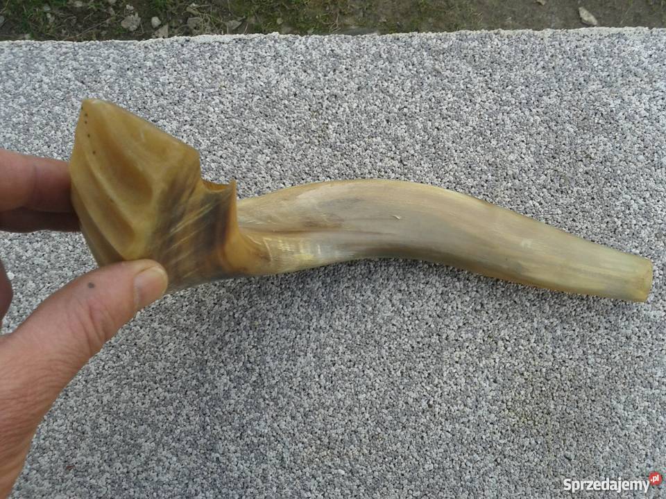 Szofar róg Ram Skierbieszów