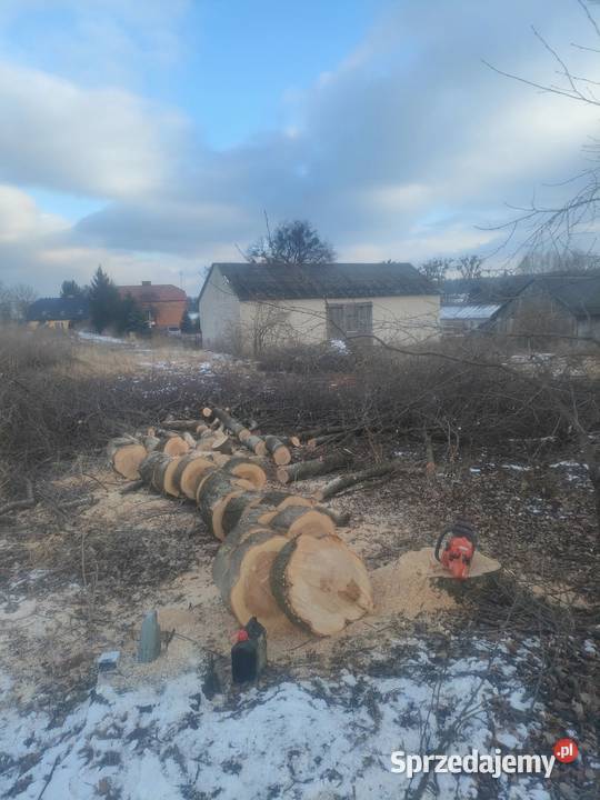 Przycinanie koron świerków i wycinka koszenie Hrubieszów