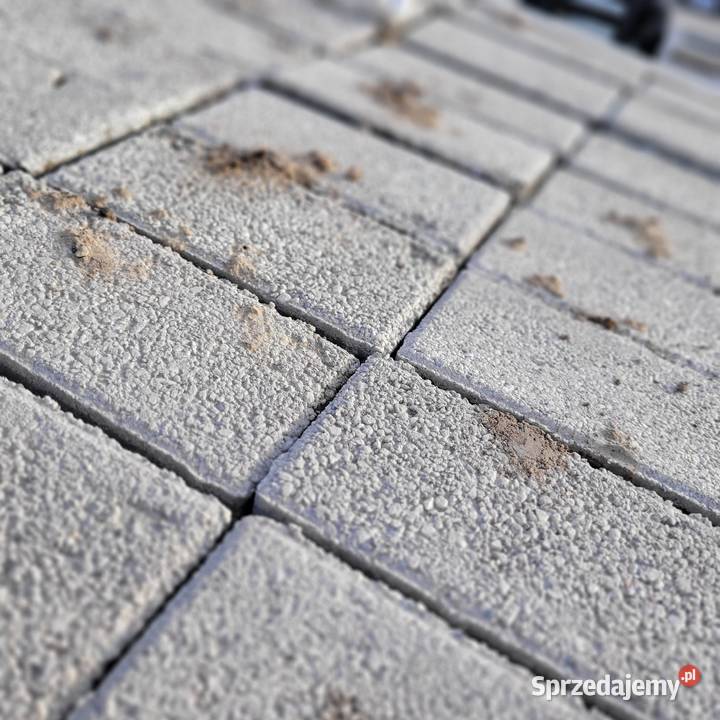 Kostka brukowa szlachta 33 Hryniewicze