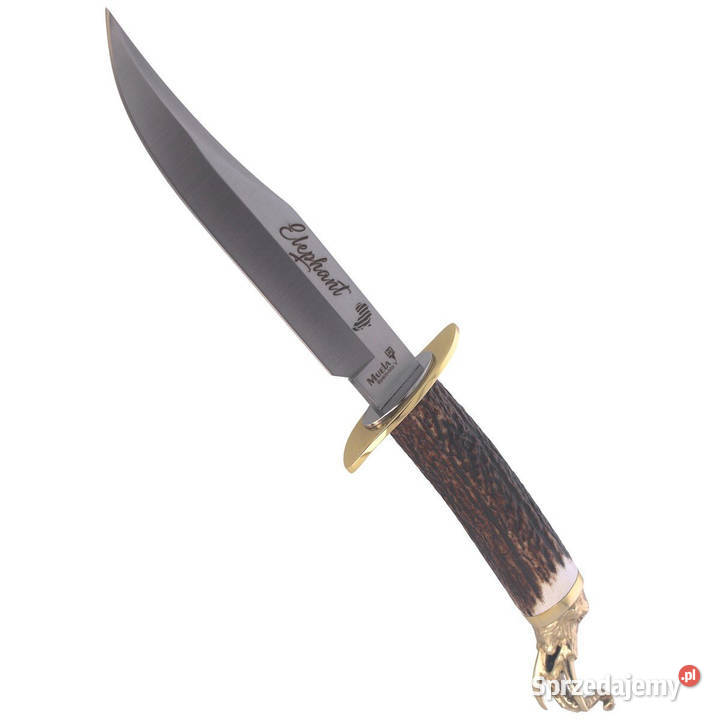 Nóż Muela Big Five Deer Stag Satin 14116 Gift