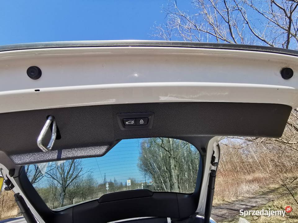 BMW X6 40d skórzana tapicerka Odolanów