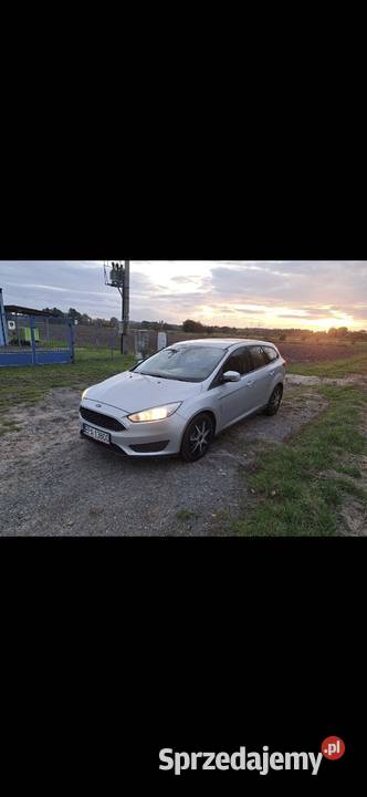 Ford Focus 15 2015r 95 nieuszkodzony łódzkie Pabianice