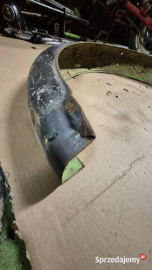 Komar błotnik tylny Pozostałe Hryniewicze