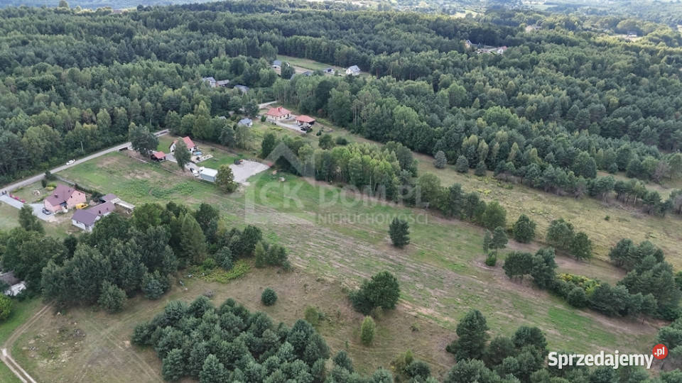 Działka na sprzedaż 910 m2 Gałęzice gm Piekoszów