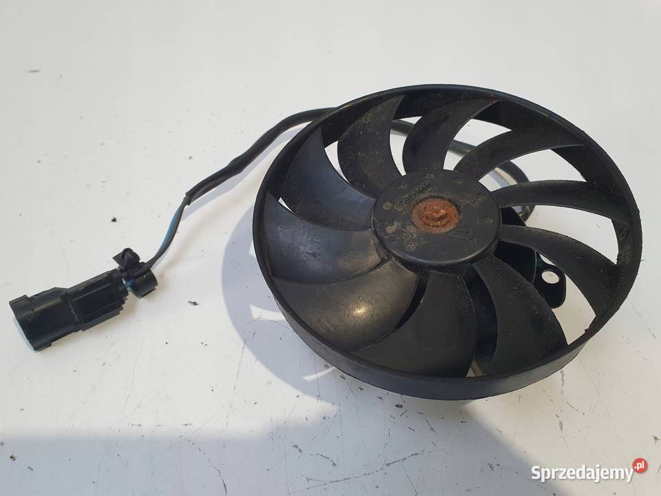 WENTYLATOR CHŁODNICY WIATRAK Triumph Street Twin lubelskie Chełm