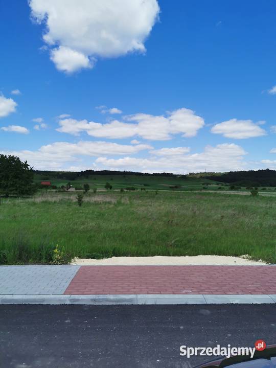 Syndyk sprzeda nieruchomość w Pińczowie 3511m2 Grunty i działki Pińczów