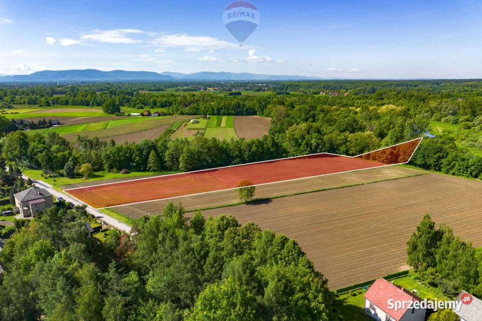 BLACK WEEKS Działka z warunkami zabudowy Sprzedaż Grojec