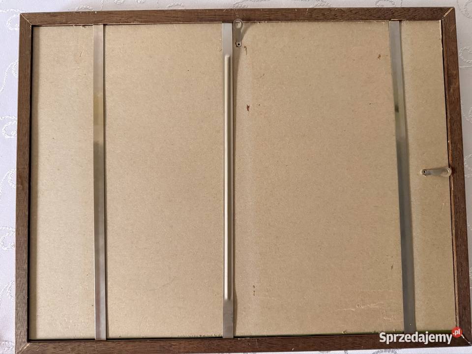 Antyczna Mapa Europy XIX Wiek Oryginalny Czerwionka-Leszczyny